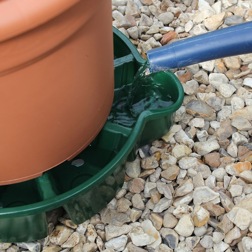 Haxnicks Water Saucer Barn Farm Plants